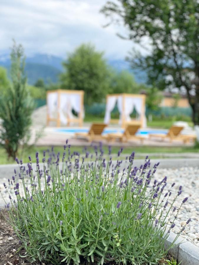 Epic House Valea Avrigului Villa Exterior foto