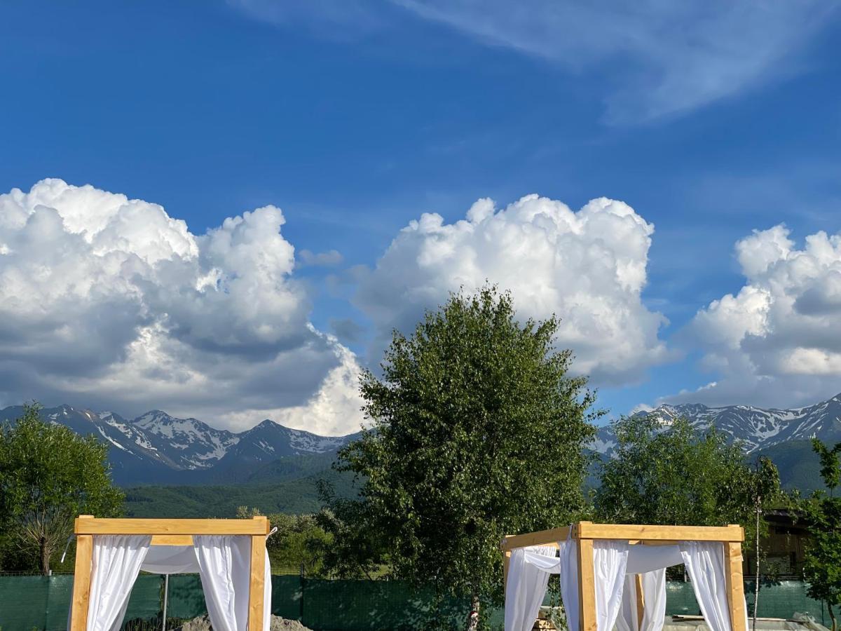 Epic House Valea Avrigului Villa Exterior foto