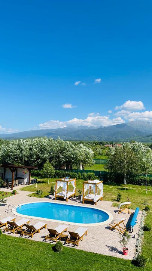 Epic House Valea Avrigului Villa Exterior foto