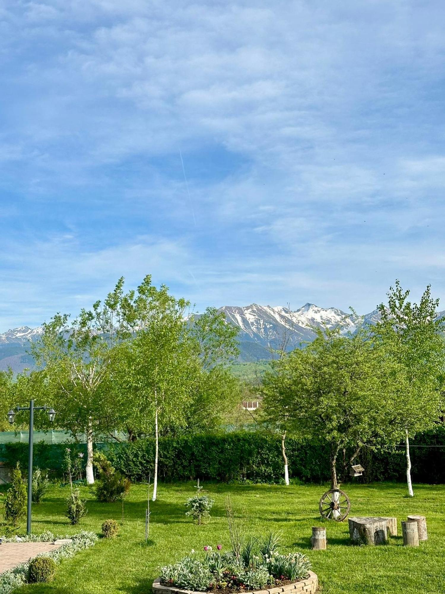 Epic House Valea Avrigului Villa Exterior foto